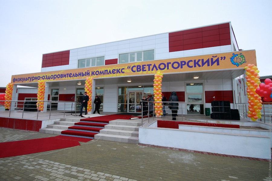 "Лось Маша и прочая законная агитация": фоторепортаж "Нового Калининграда.Ru"